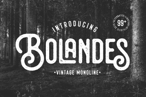 Enhance Your Brand with Bolandes: A Vintage-Chic Display Font