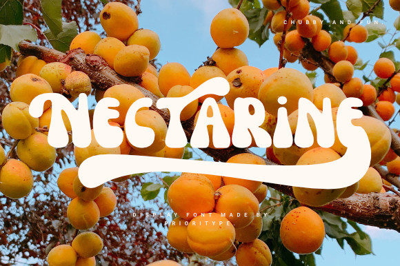 Unlock Creativity with Nectarine: A Cool Retro Display Font